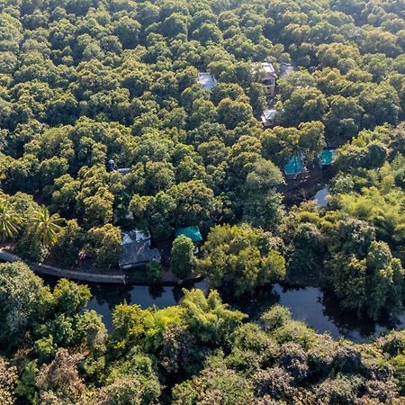 Brook Ville Sasan Gir Esterno foto