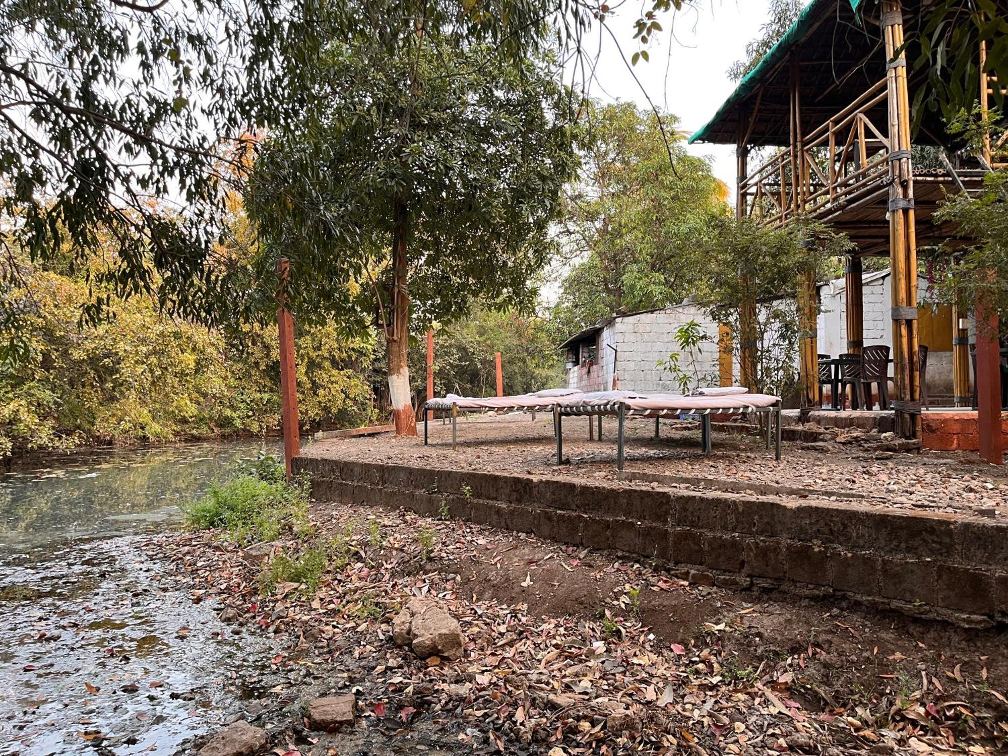 Brook Ville Sasan Gir Esterno foto