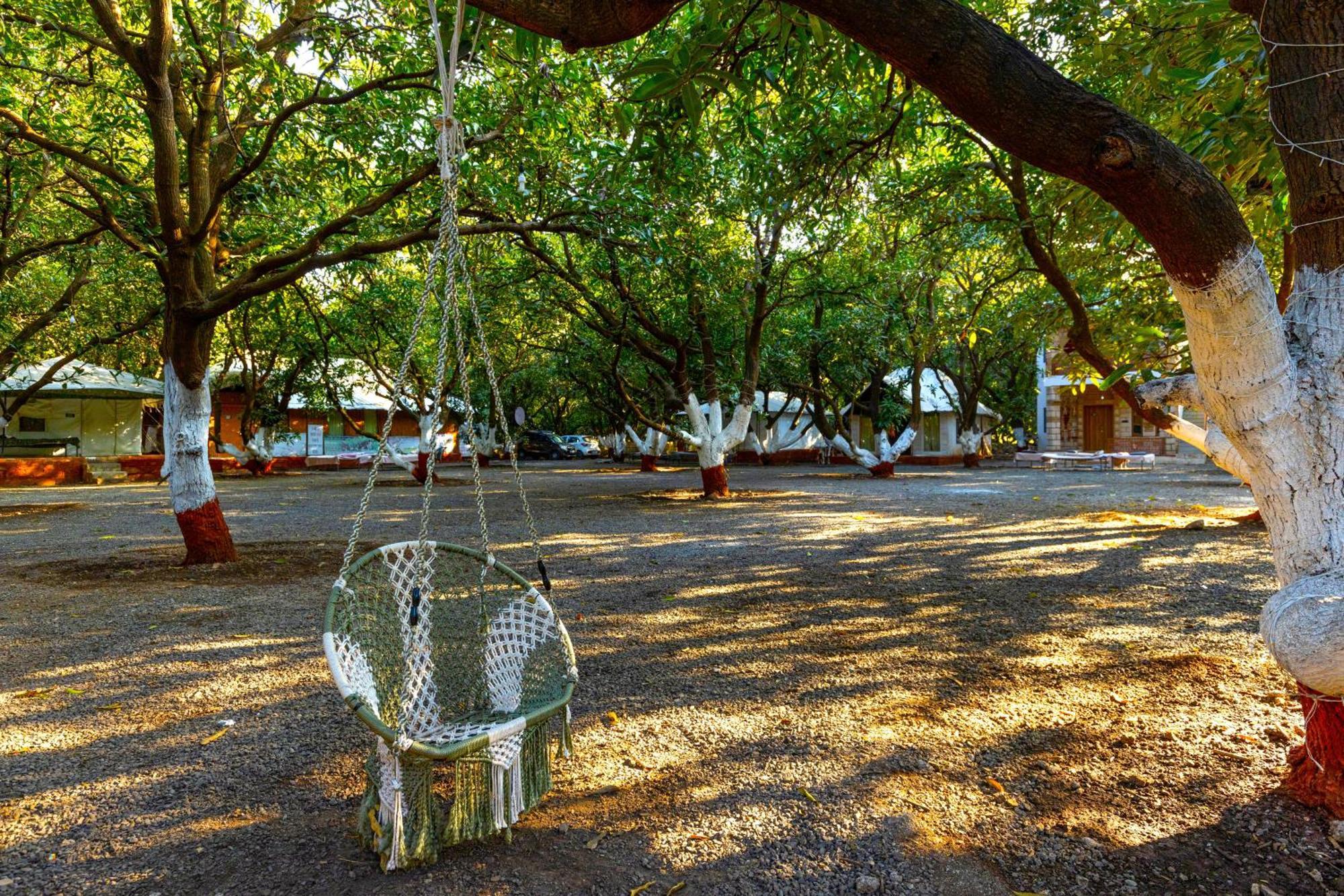Brook Ville Sasan Gir Esterno foto