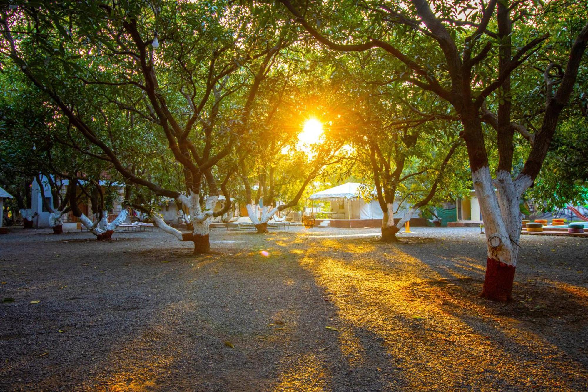 Brook Ville Sasan Gir Esterno foto