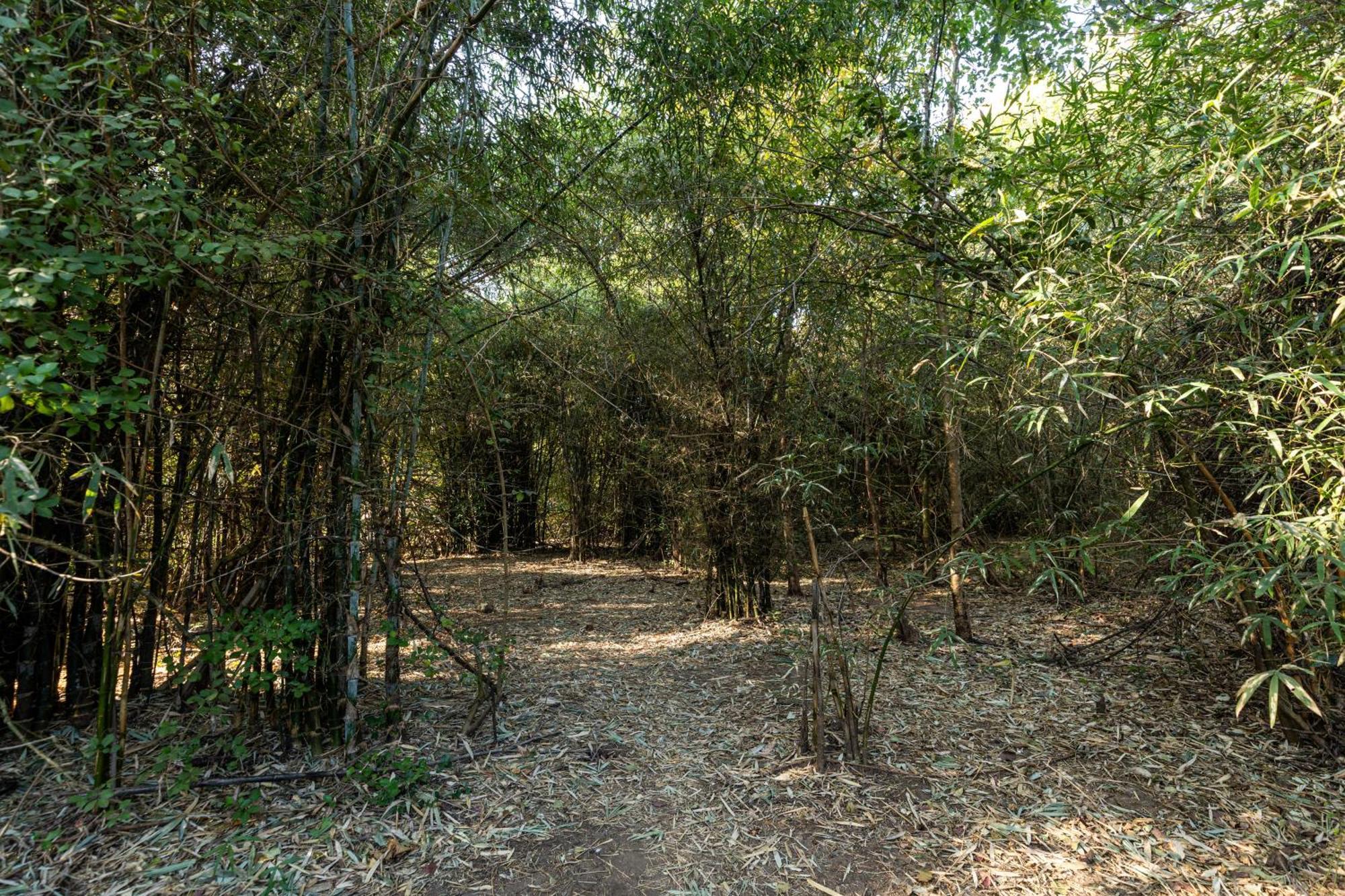 Brook Ville Sasan Gir Esterno foto