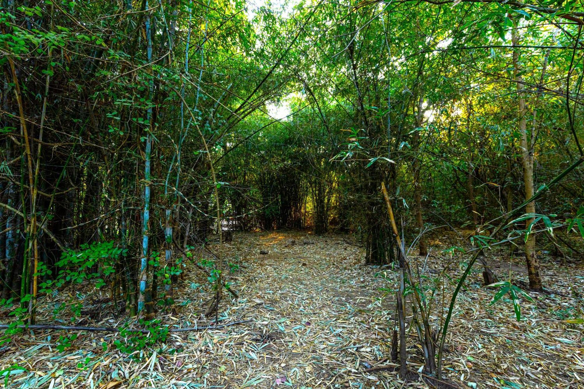 Brook Ville Sasan Gir Esterno foto