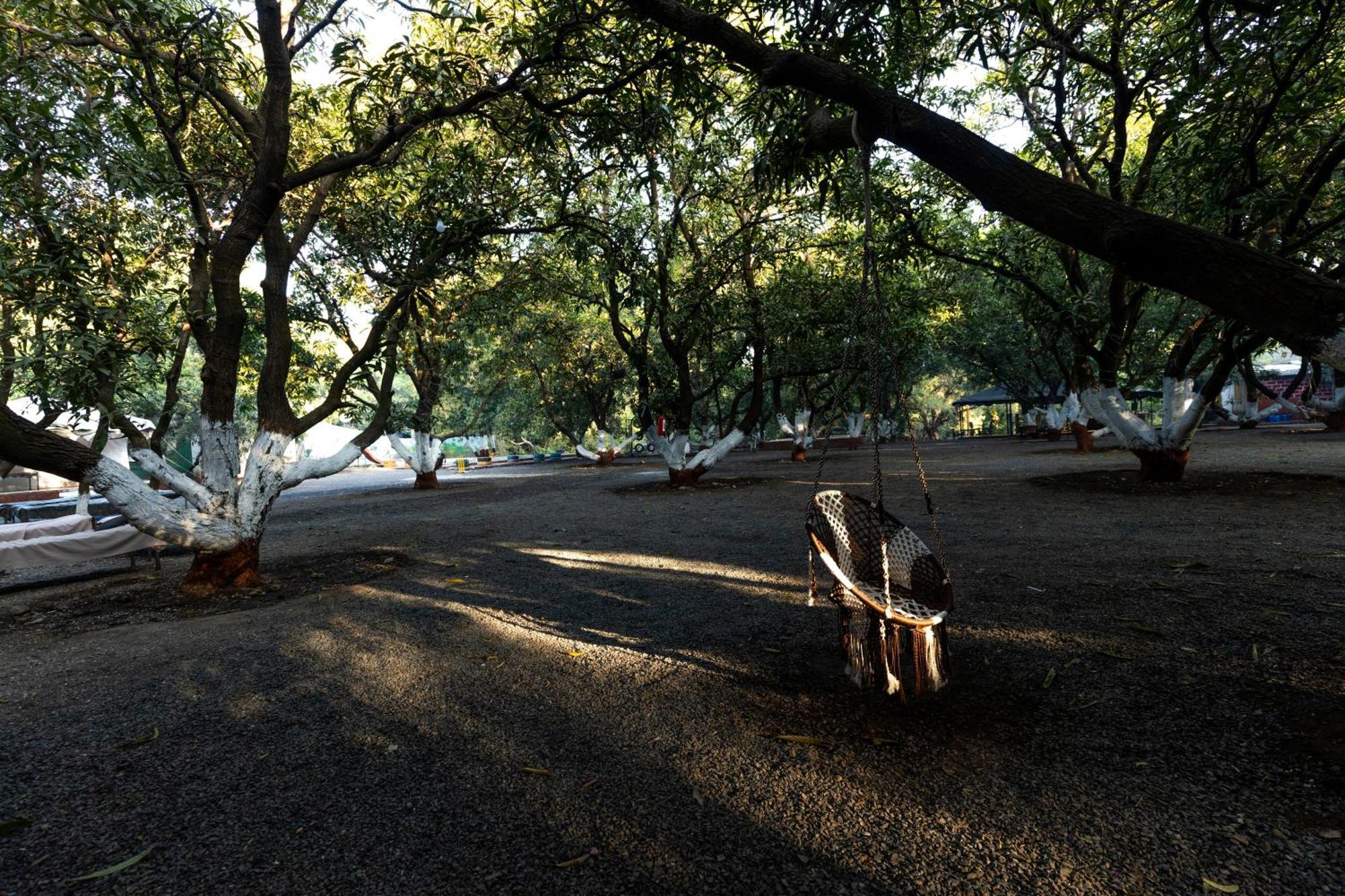 Brook Ville Sasan Gir Esterno foto