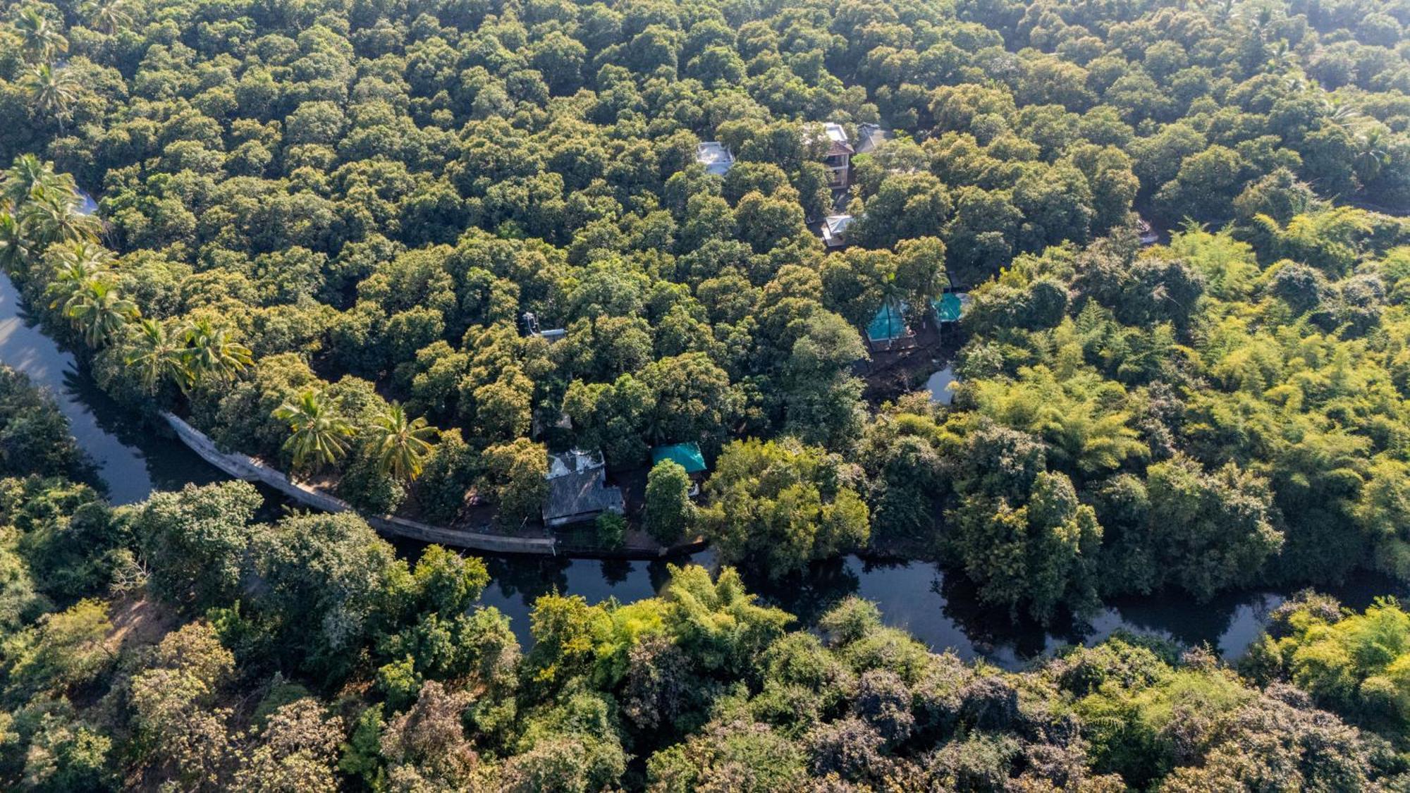 Brook Ville Sasan Gir Esterno foto